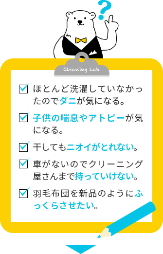 ・ほとんど洗濯していなかったのでダニが気になる。　・子供の喘息やアトピーが気になる。　・干してもニオイがとれない。　・車がないのでクリーニング屋さんまで持っていけない。　・羽毛布団を新品のようにふっくらさせたい。